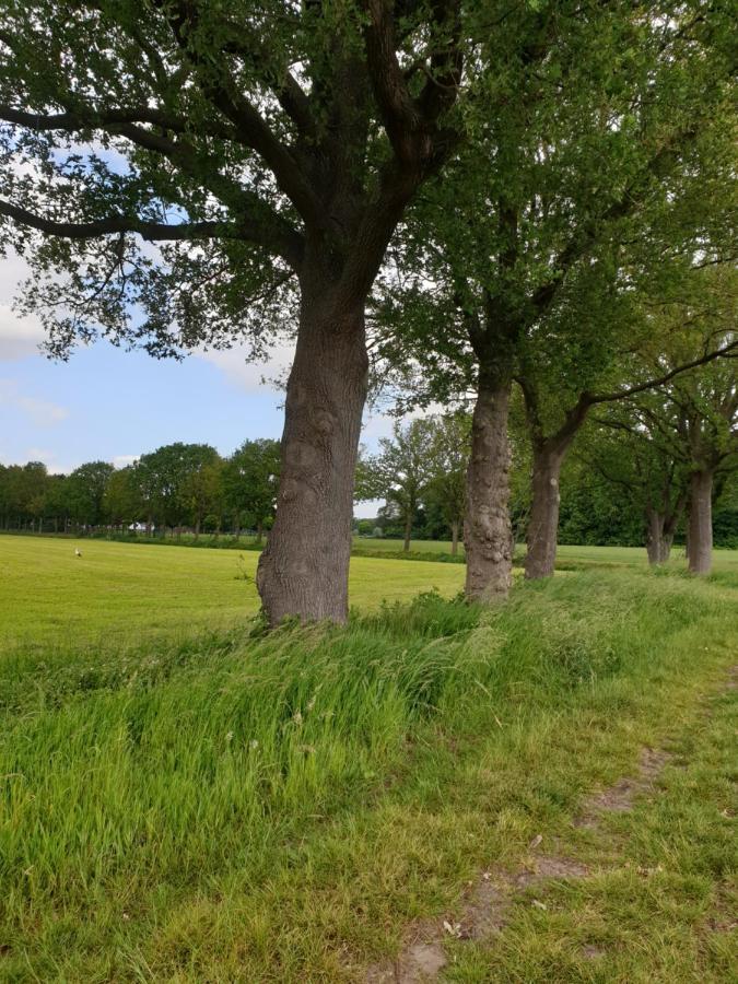 B&B Het Gelders Buitenleven Overasselt Luaran gambar