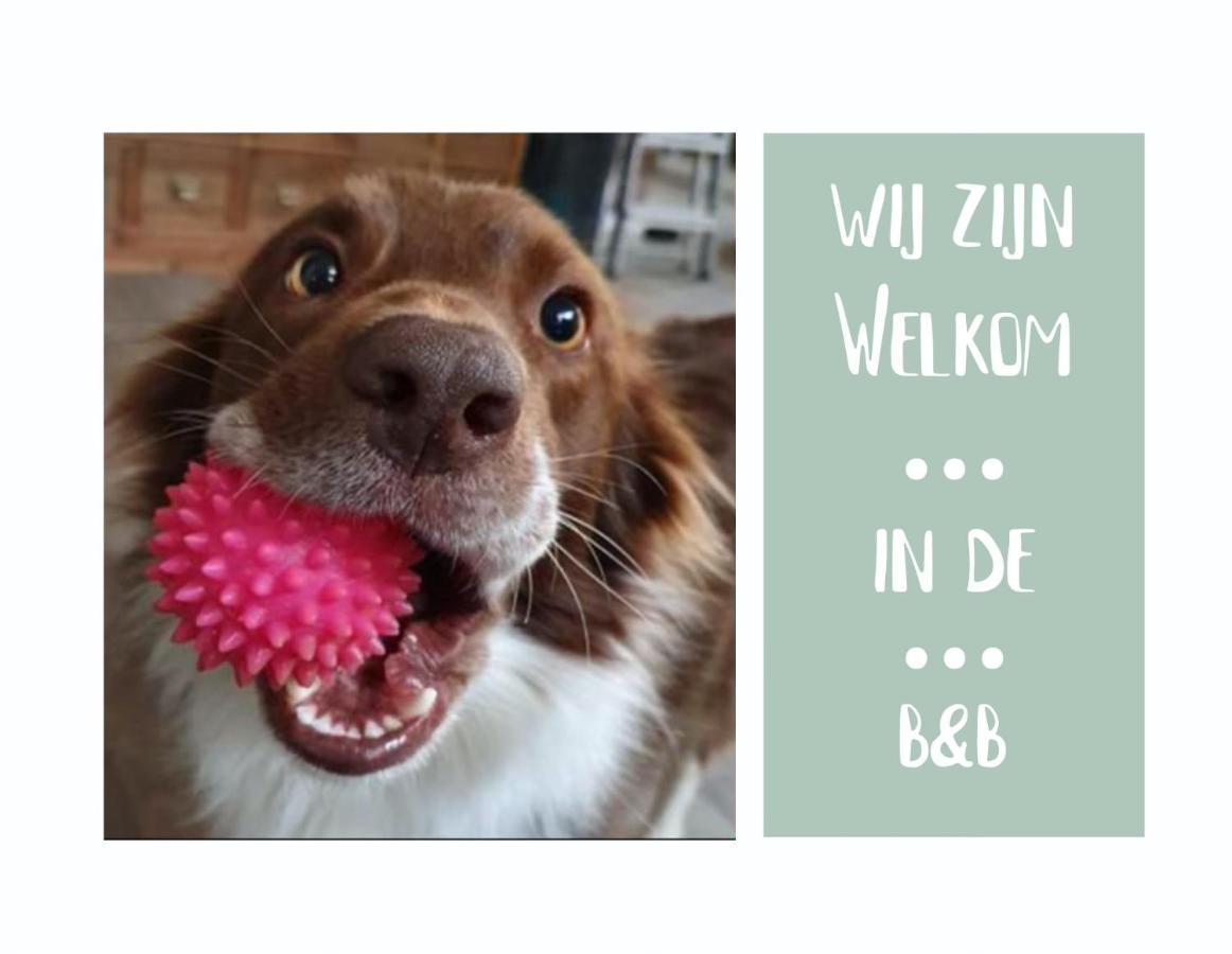 B&B Het Gelders Buitenleven Overasselt Luaran gambar