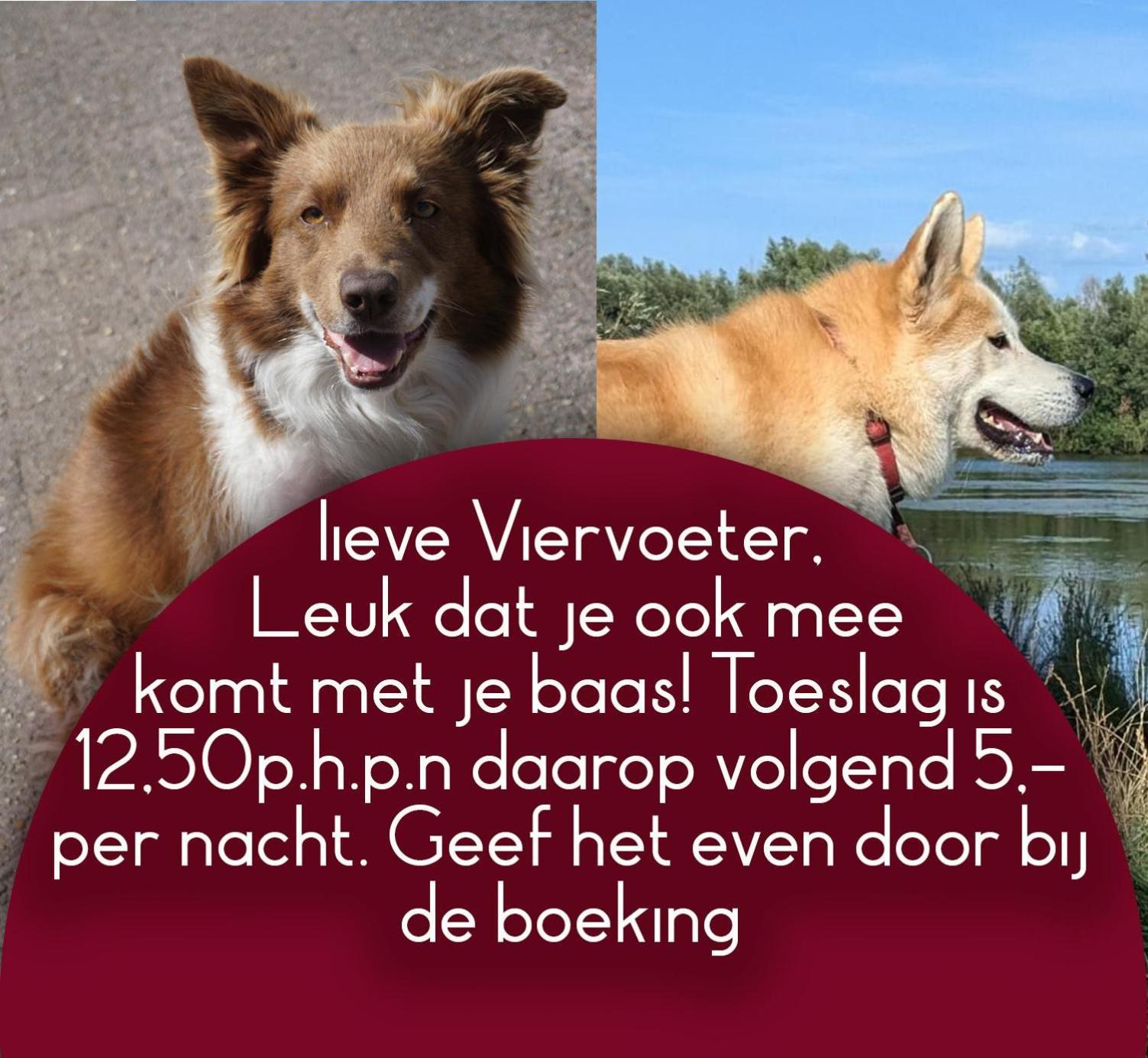 B&B Het Gelders Buitenleven Overasselt Luaran gambar
